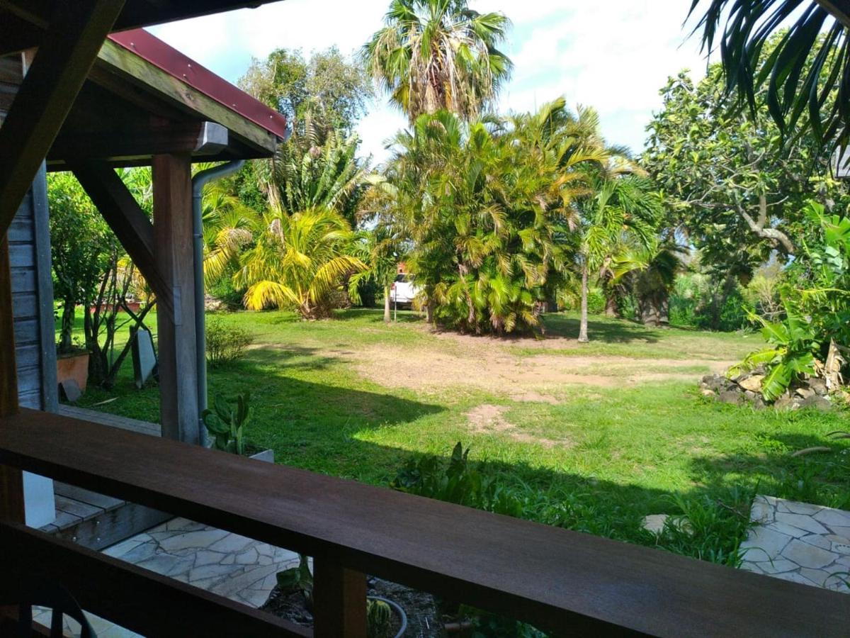 Un Cosy Sous Le Vent Villa Gourbeyre ภายนอก รูปภาพ